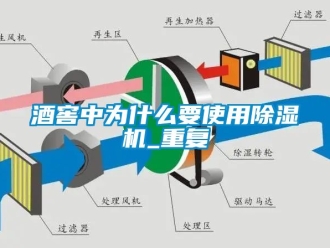 行業(yè)新聞酒窖中為什么要使用除濕機(jī)_重復(fù)
