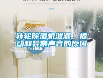 常見問題轉(zhuǎn)輪除濕機(jī)泄漏、振動和異常聲音的原因