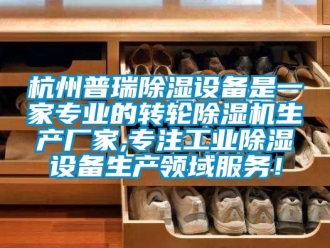 企業(yè)新聞杭州普瑞除濕設(shè)備是一家專(zhuān)業(yè)的轉(zhuǎn)輪除濕機(jī)生產(chǎn)廠家,專(zhuān)注工業(yè)除濕設(shè)備生產(chǎn)領(lǐng)域服務(wù)！