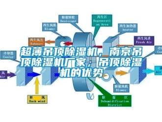 企業(yè)新聞超薄吊頂除濕機(jī)，南京吊頂除濕機(jī)廠家，吊頂除濕機(jī)的優(yōu)勢(shì)