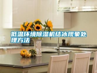 企業(yè)新聞低溫環(huán)境除濕機結(jié)冰現(xiàn)象處理方法