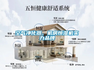 知識百科空氣凈化器、機(jī)房恒濕機(jī)實(shí)力品牌