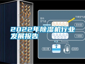 常見問題2022年除濕機(jī)行業(yè)發(fā)展報告
