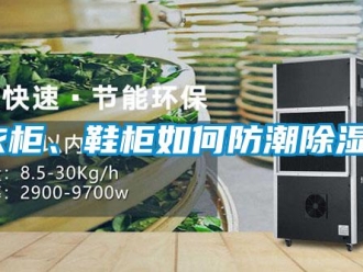 常見問題衣柜、鞋柜如何防潮除濕？