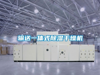 行業(yè)新聞?shì)斔鸵惑w式除濕干燥機(jī)