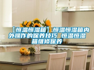 常見問題【恒溫恒濕箱】恒溫恒濕箱內(nèi)外操作的保養(yǎng)技巧 恒溫恒濕箱維修保養(yǎng)