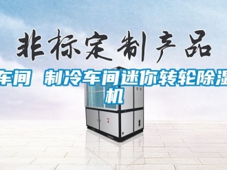 常見問題車間 制冷車間迷你轉(zhuǎn)輪除濕機