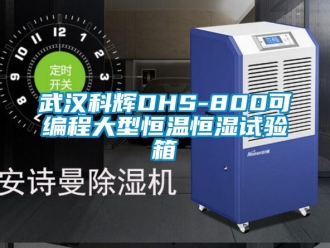 知識(shí)百科武漢科輝DHS-800可編程大型恒溫恒濕試驗(yàn)箱