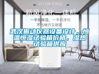知識(shí)百科武漢振動(dòng)儀器設(shè)備設(shè)計(jì)，恒溫恒濕試驗(yàn)箱價(jià)格，濕熱試驗(yàn)箱供應(yīng)
