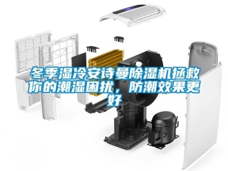 企業(yè)新聞冬季濕冷安詩曼除濕機(jī)拯救你的潮濕困擾，防潮效果更好