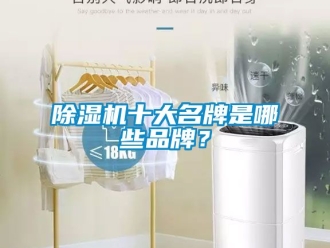 企業(yè)新聞除濕機(jī)十大名牌是哪些品牌？