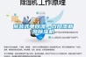 吊裝式單向流、雙向流新風(fēng)除濕機(jī)
