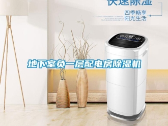 企業(yè)新聞地下室負一層配電房除濕機