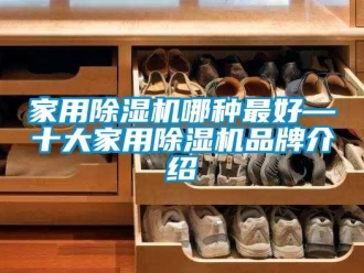 企業(yè)新聞家用除濕機(jī)哪種最好—十大家用除濕機(jī)品牌介紹