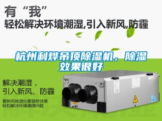 行業(yè)新聞杭州利燁吊頂除濕機，除濕效果很好