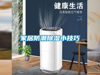 常見問題家居防潮除濕小技巧