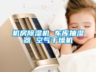 行業(yè)新聞機房除濕機 車庫抽濕器 空氣干燥機