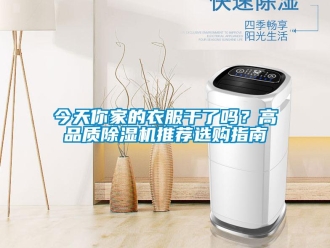 行業(yè)新聞今天你家的衣服干了嗎？高品質(zhì)除濕機(jī)推薦選購指南