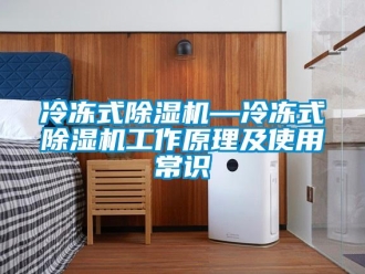 行業(yè)新聞冷凍式除濕機(jī)—冷凍式除濕機(jī)工作原理及使用常識(shí)
