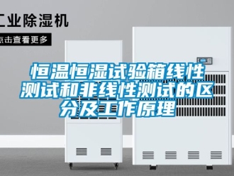 知識(shí)百科恒溫恒濕試驗(yàn)箱線性測(cè)試和非線性測(cè)試的區(qū)分及工作原理