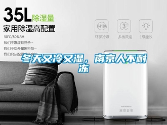 企業(yè)新聞冬天又冷又濕，南京人不耐凍