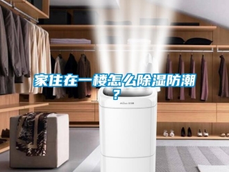 常見問題家住在一樓怎么除濕防潮？