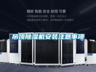 企業(yè)新聞吊頂除濕機安裝注意事項