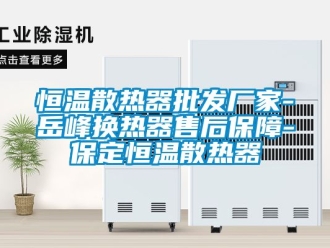 知識百科恒溫散熱器批發(fā)廠家-岳峰換熱器售后保障-保定恒溫散熱器