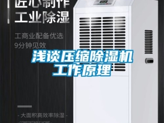 行業(yè)新聞淺談壓縮除濕機工作原理