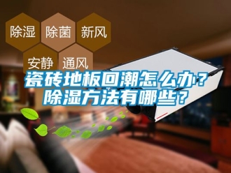 企業(yè)新聞瓷磚地板回潮怎么辦？除濕方法有哪些？