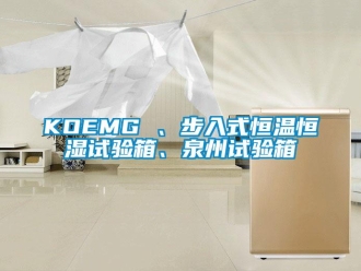 常見(jiàn)問(wèn)題KOEMG 、步入式恒溫恒濕試驗(yàn)箱、泉州試驗(yàn)箱