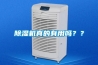 除濕機(jī)真的有用嗎？？