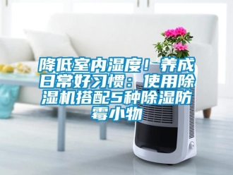 行業(yè)新聞降低室內(nèi)濕度！養(yǎng)成日常好習(xí)慣：使用除濕機(jī)搭配5種除濕防霉小物