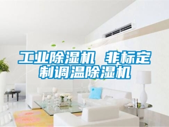 常見問題工業(yè)除濕機 非標定制調(diào)溫除濕機