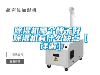 行業(yè)新聞除濕機(jī)哪個牌子好 除濕機(jī)有什么缺點(diǎn)【詳解】