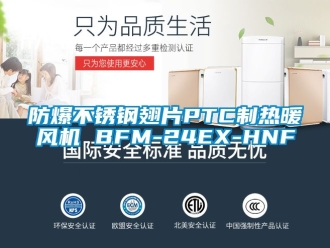企業(yè)新聞防爆不銹鋼翅片PTC制熱暖風(fēng)機(jī) BFM-24EX-HNF