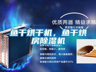 行業(yè)新聞魚干烘干機，魚干烘房除濕機