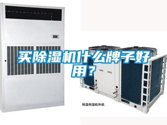 行業(yè)新聞買除濕機(jī)什么牌子好用？