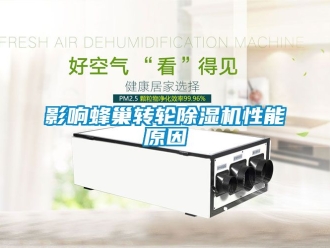 常見問題影響蜂巢轉(zhuǎn)輪除濕機(jī)性能原因