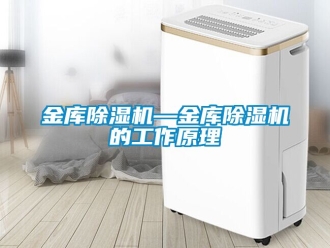 行業(yè)新聞金庫(kù)除濕機(jī)—金庫(kù)除濕機(jī)的工作原理