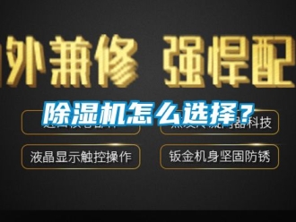 行業(yè)新聞除濕機怎么選擇？