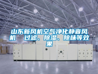 常見問題山東新風(fēng)機(jī)空氣凈化靜音風(fēng)機(jī)  過濾、除濕、除味等效果