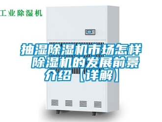 企業(yè)新聞抽濕除濕機(jī)市場怎樣 除濕機(jī)的發(fā)展前景介紹【詳解】