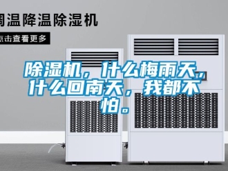 企業(yè)新聞除濕機(jī)，什么梅雨天，什么回南天，我都不怕。