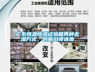知識(shí)百科廣東恒溫恒濕試驗(yàn)箱兩種去濕方式，創(chuàng)新引領(lǐng)進(jìn)步