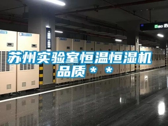 知識百科蘇州實(shí)驗(yàn)室恒溫恒濕機(jī) 品質(zhì)＊＊