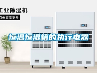 知識百科恒溫恒濕箱的執(zhí)行電器