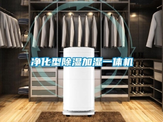 行業(yè)新聞凈化型除濕加濕一體機(jī)