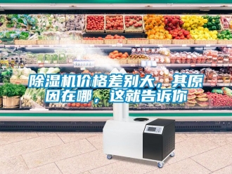 企業(yè)新聞除濕機(jī)價格差別大，其原因在哪，這就告訴你