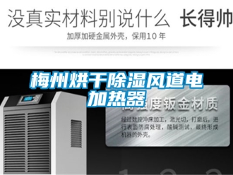 行業(yè)新聞梅州烘干除濕風(fēng)道電加熱器